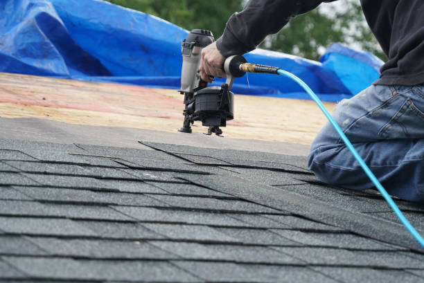 Best Roof Leak Repair  in Moa, UT