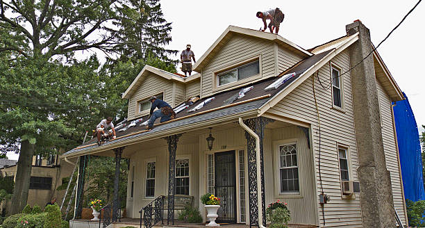 Best Roof Repair Services  in Moa, UT