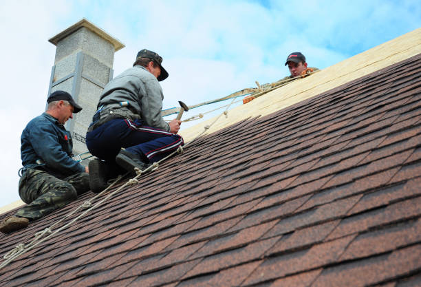 Best New Roof Installation  in Moa, UT